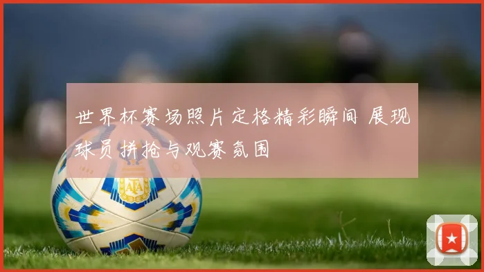 世界杯赛场照片定格精彩瞬间 展现球员拼抢与观赛氛围